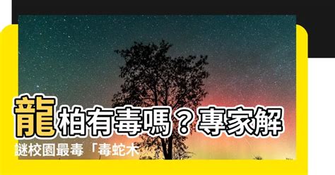 龍柏有毒嗎|注意龍柏毒性：可能會造成咽喉疼痛、脣舌麻痺和抽搐等症狀！